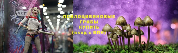 спиды Горно-Алтайск