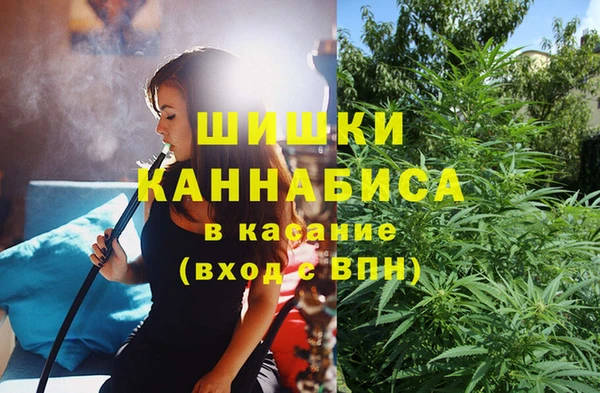 спиды Горно-Алтайск
