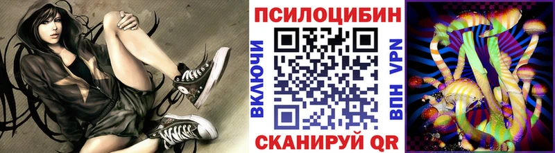 Галлюциногенные грибы мицелий  Купить закладки  Кингисепп 
