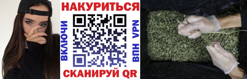 Купить закладки  Кингисепп  Канабис сатива 